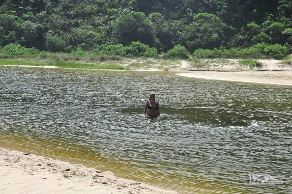 Refrescando-se na lagoa da praia da Lagoinha do Leste, na costa sul de Florianópolis, em Santa Catarina